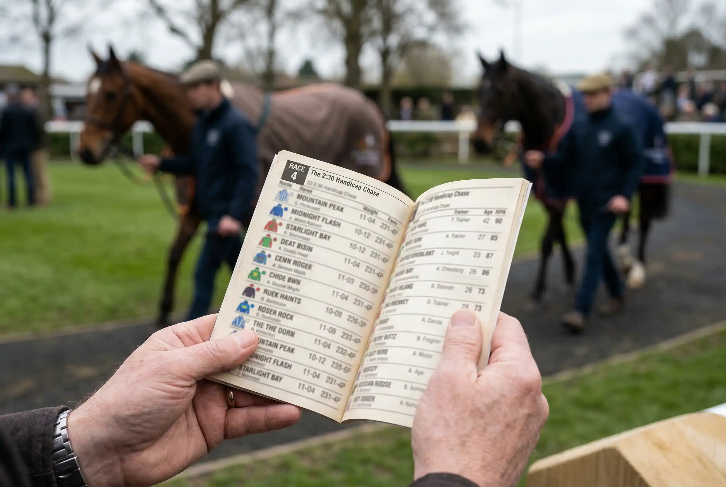 Hands holding a printed racecard at a British racecourse with paddock in the background
